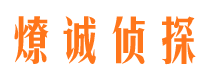 安庆市调查公司